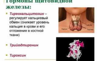 Влияет ли Конкор на выработку гормонов щитовидной железы.?