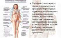 Месячные и щитовидная железа