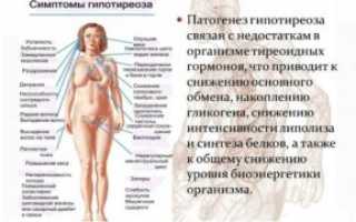 Месячные и щитовидная железа