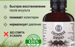 Как помогают сосновые шишки при инсульте