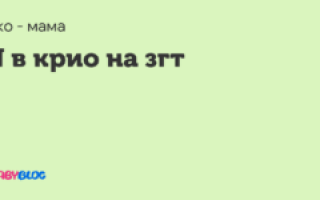 Эко (крио на згт)