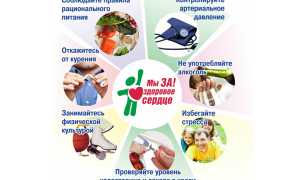Профилактика инсультов народными средствами