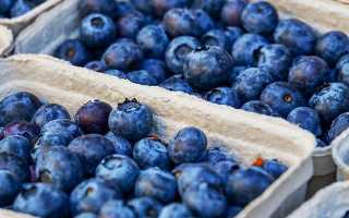 8 самых полезных продуктов для женской кожи