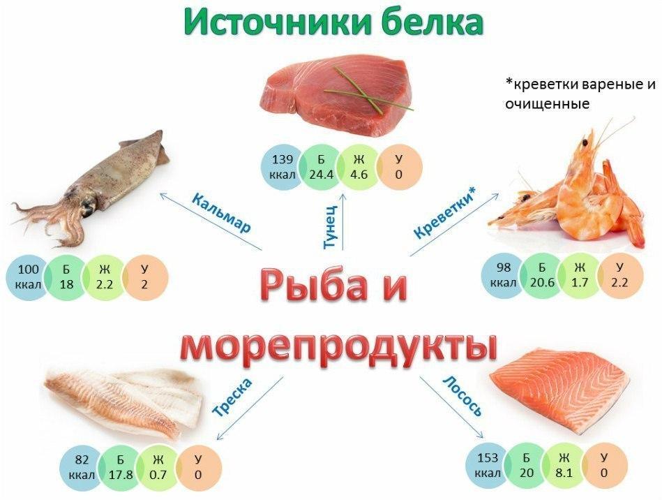 Источники белка