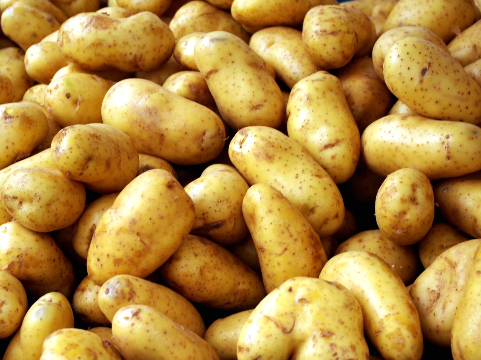 картофель