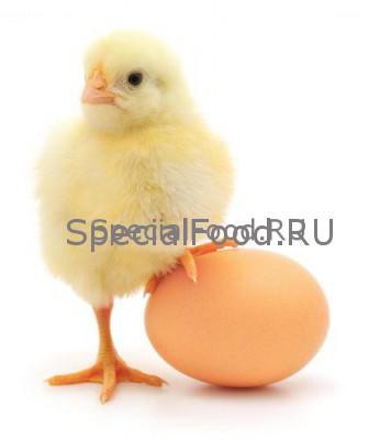 Куриное яйцо