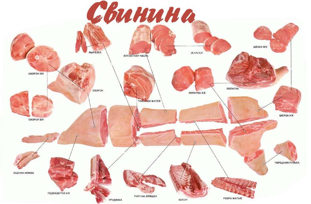 Вред и польза свинины