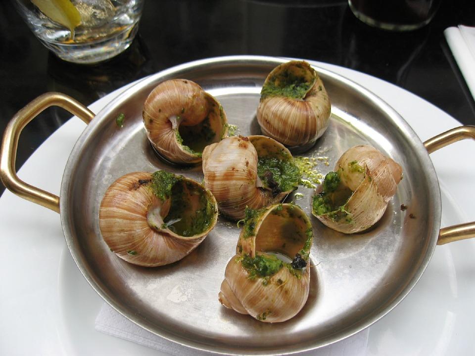 улитки 