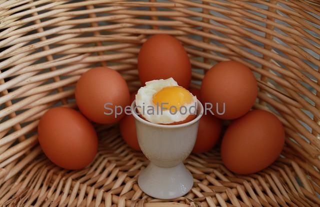 Яйцо